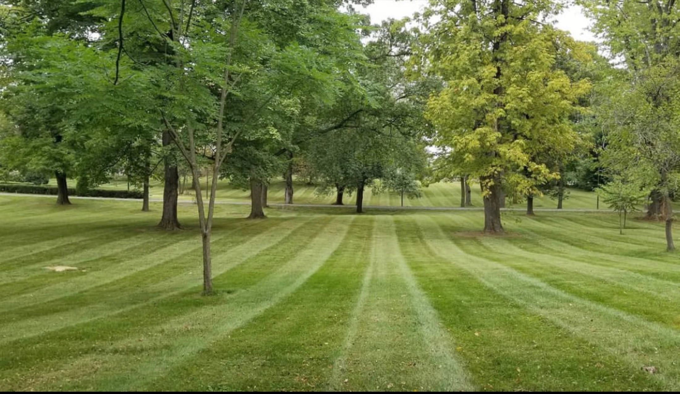 A freshly mowed, striped green lawn
